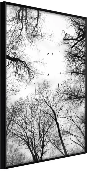 ARTGEIST Poster con cornice - Treetops Nero 40x60