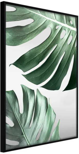 ARTGEIST Poster con cornice - Leaves Like Swiss Cheese Nero 30x45